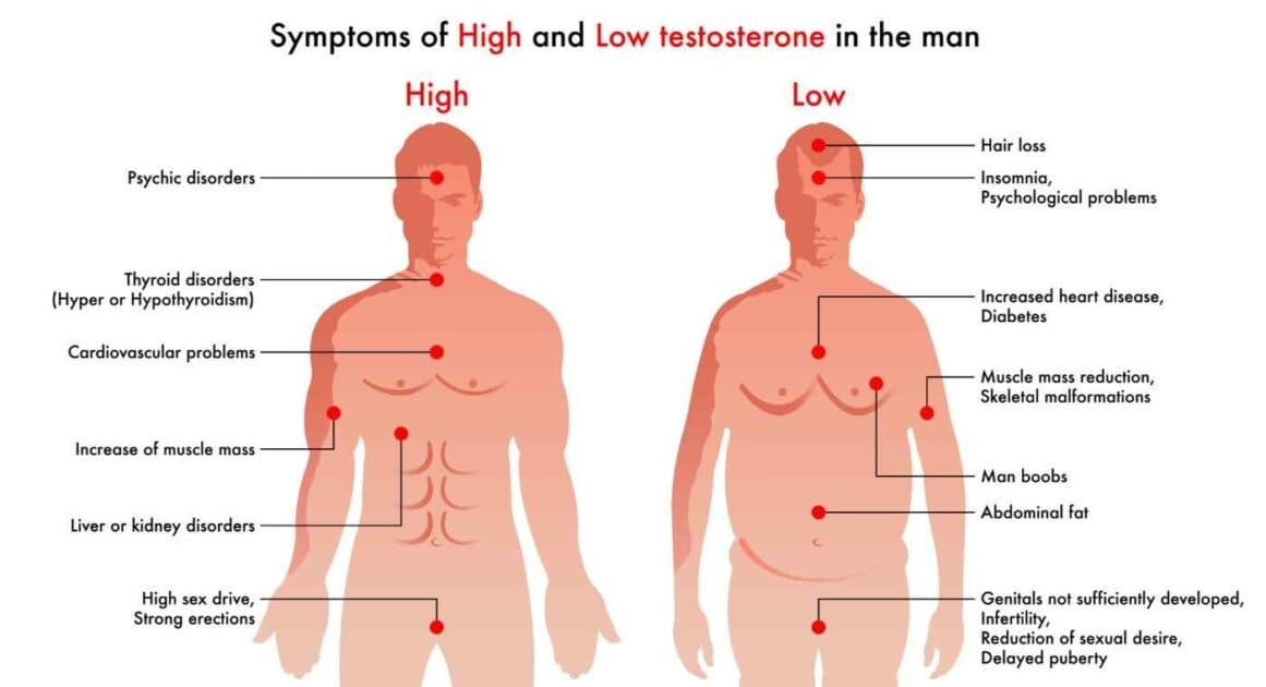picture of two men showing symptoms of high and low testosterone